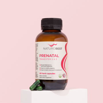 Prenatal Trimester 2 & 3 Plus Breastfeeding