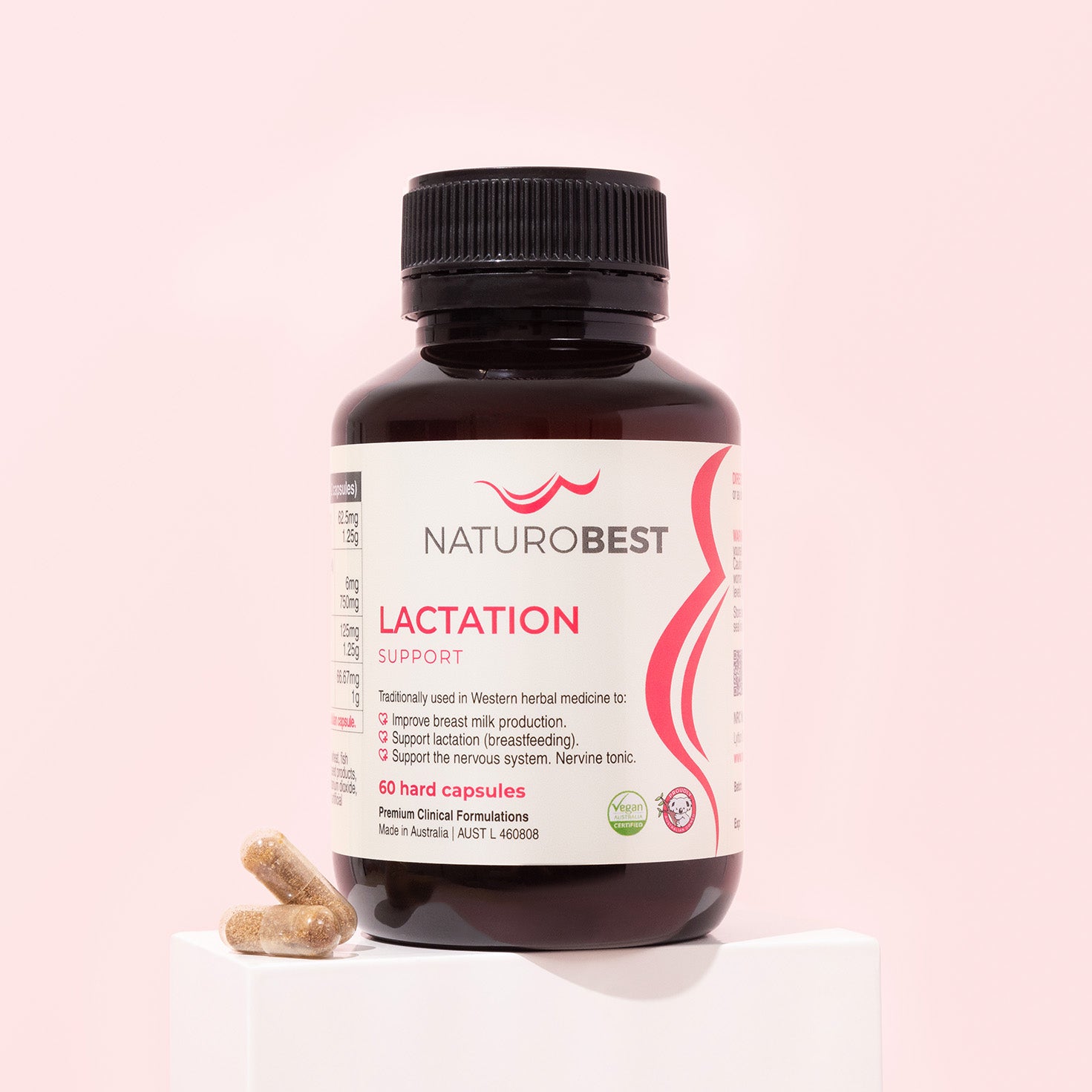 Lactation Support